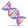 DNA-Tests