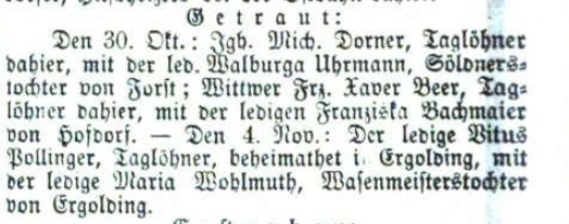 Klicken Sie zuerst in den Kreismittelpunkt, dann an irgendeiner Stelle auf den Kreis selbst.