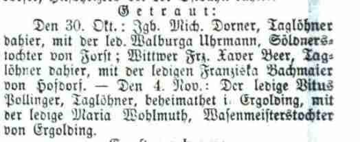 Klicken Sie zuerst in den Kreismittelpunkt, dann an irgendeiner Stelle auf den Kreis selbst.