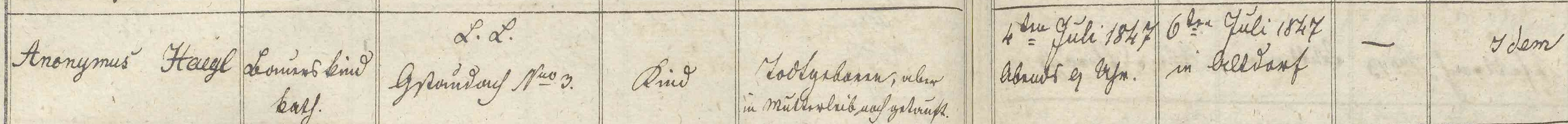 Klicken Sie zuerst in den Kreismittelpunkt, dann an irgendeiner Stelle auf den Kreis selbst.