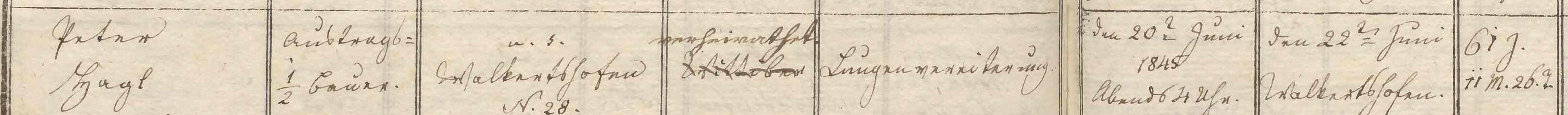 Klicken Sie zuerst in den Kreismittelpunkt, dann an irgendeiner Stelle auf den Kreis selbst.