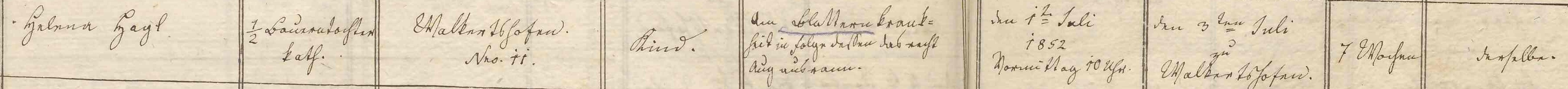 Klicken Sie zuerst in den Kreismittelpunkt, dann an irgendeiner Stelle auf den Kreis selbst.